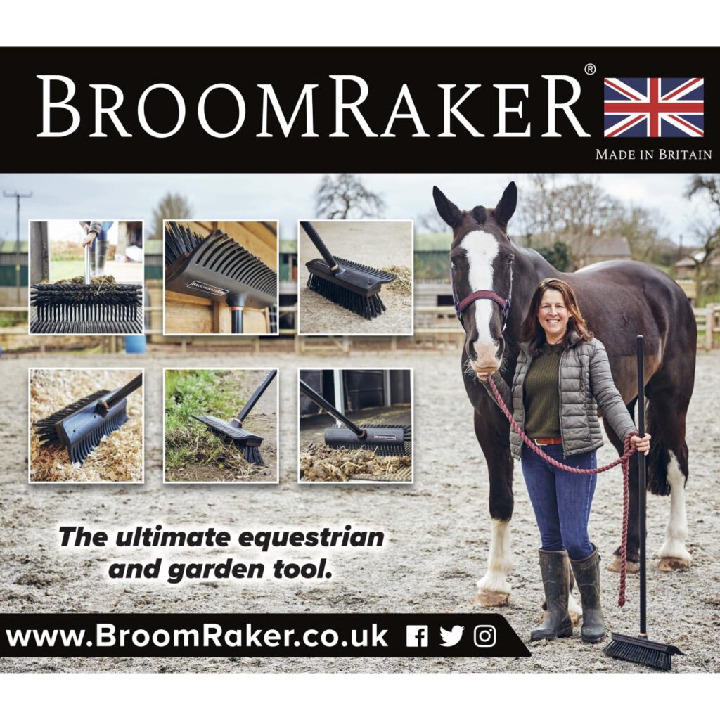 BroomRaker - Bilde 5