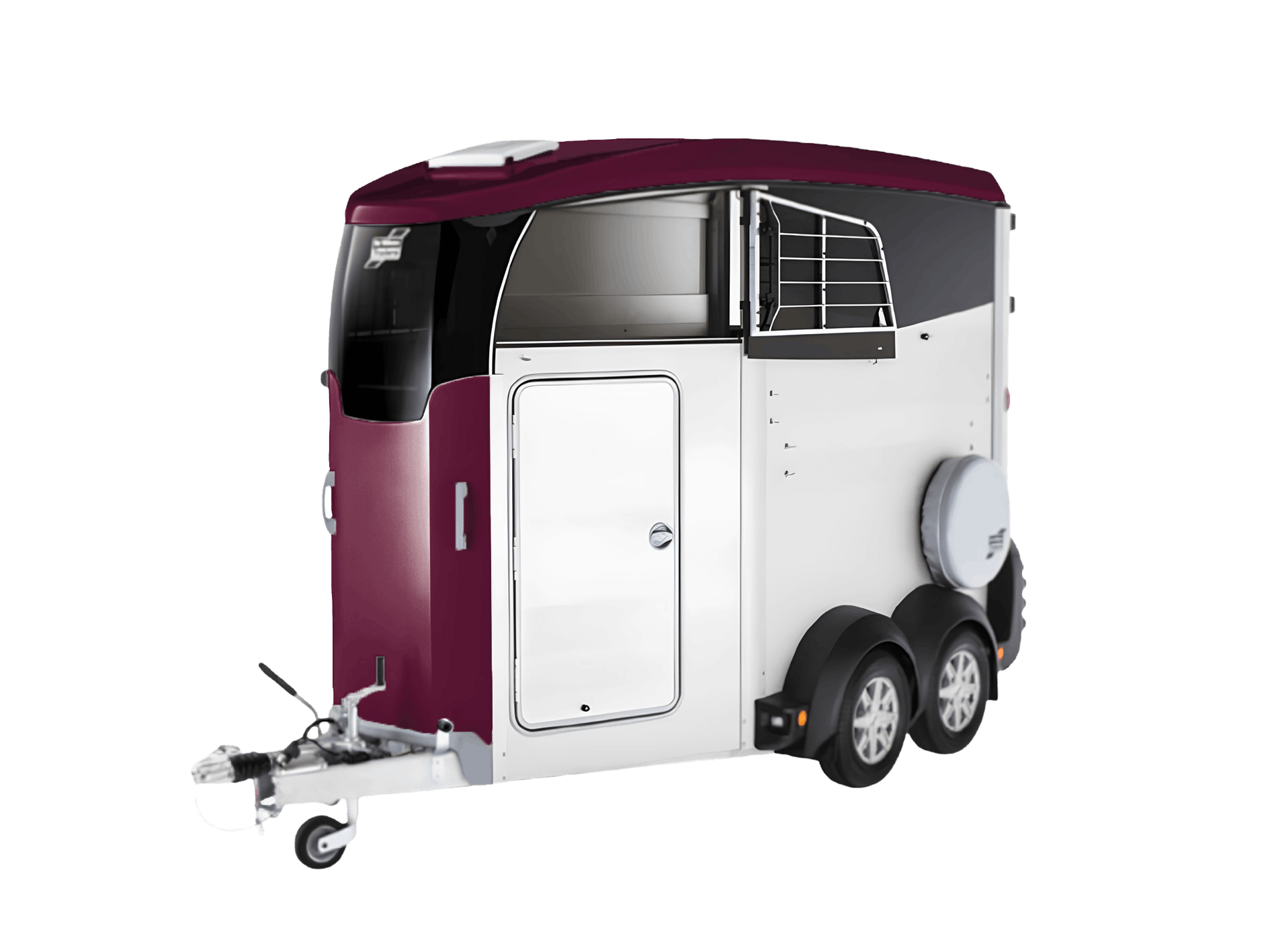 Claret Violet