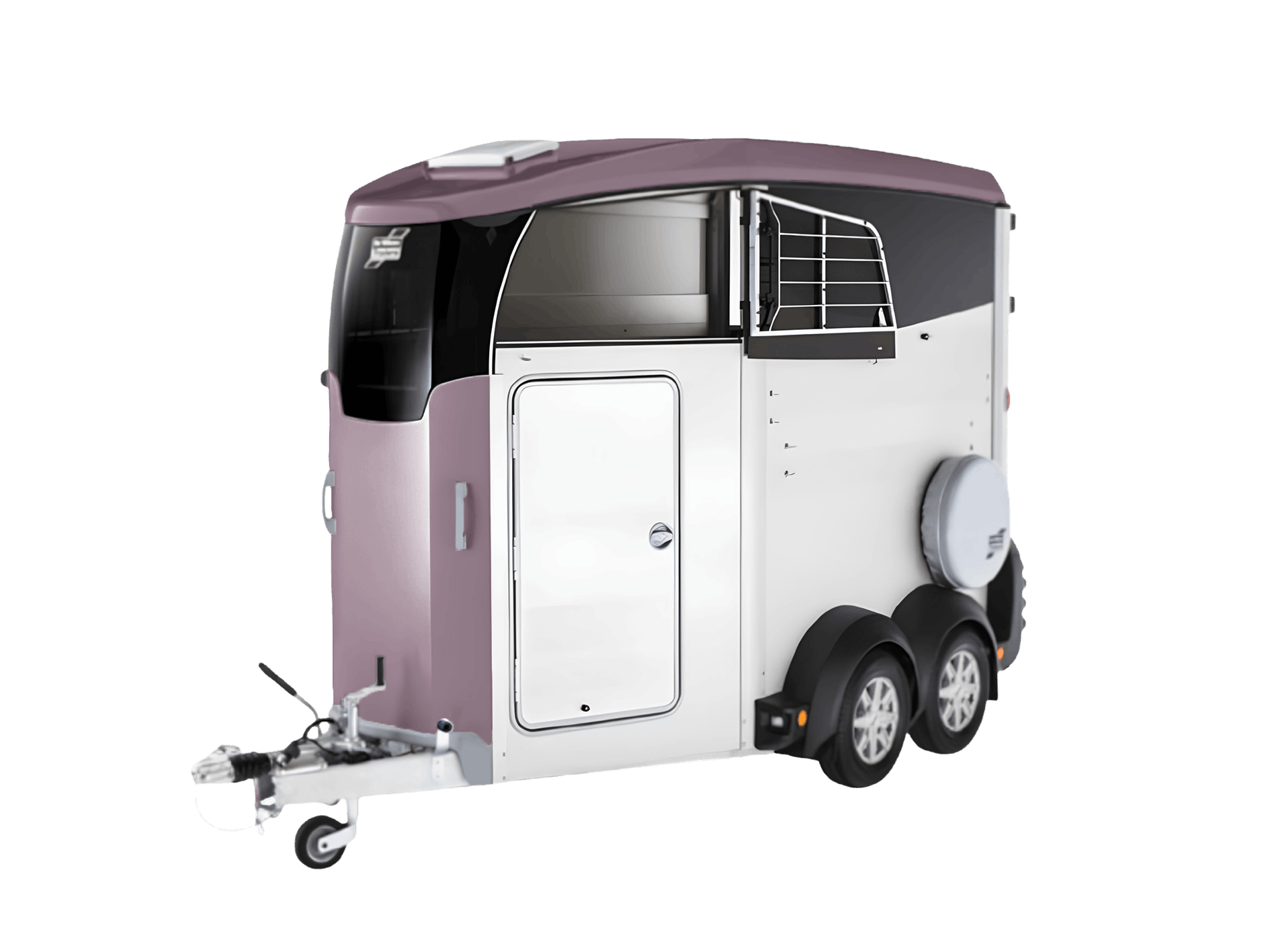 Pastel Violet