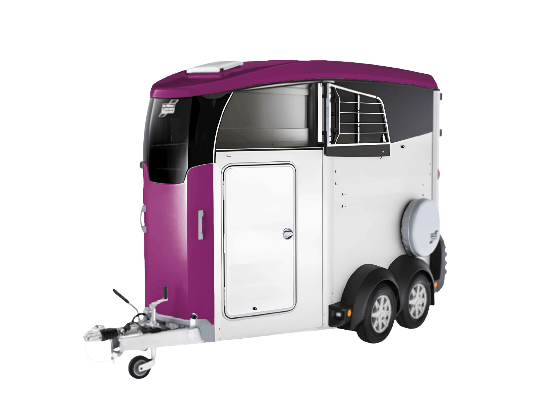 Traffic Purple