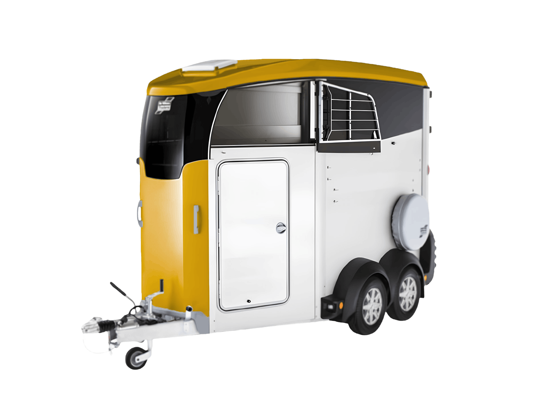 Broom Yellow